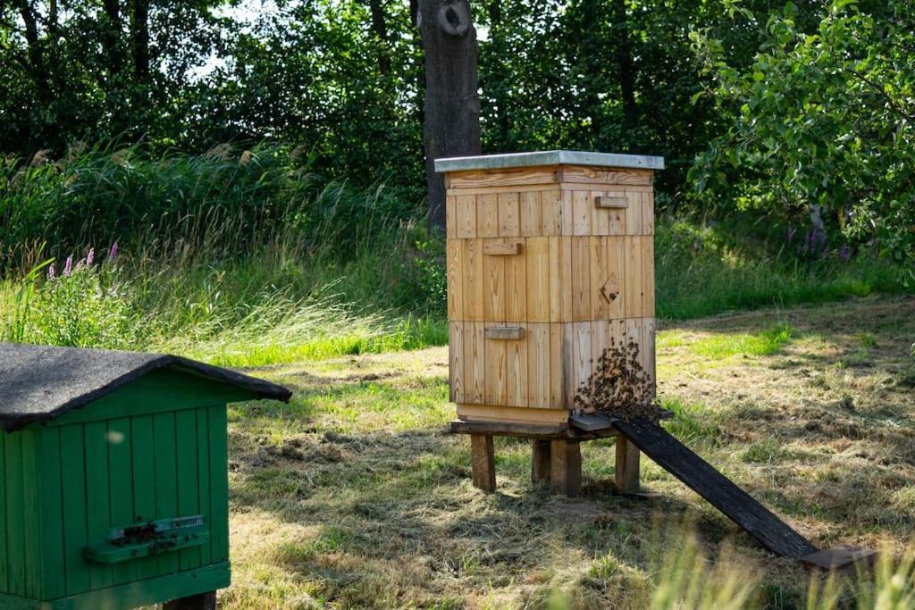 Agroturystyka Borow Prusice エクステリア 写真