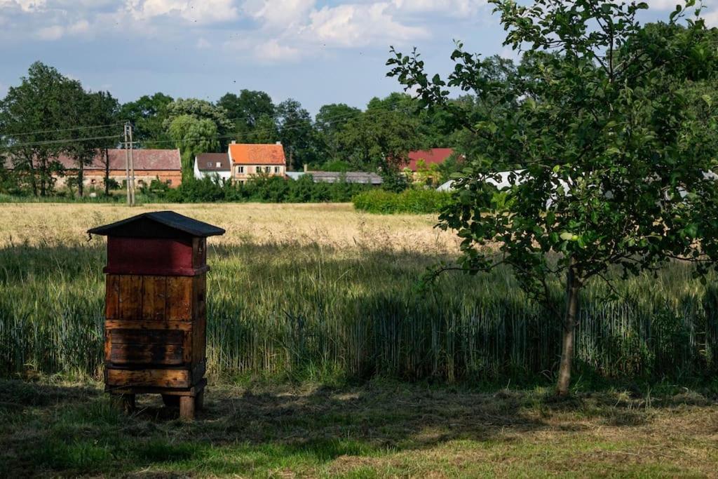 Agroturystyka Borow Prusice エクステリア 写真