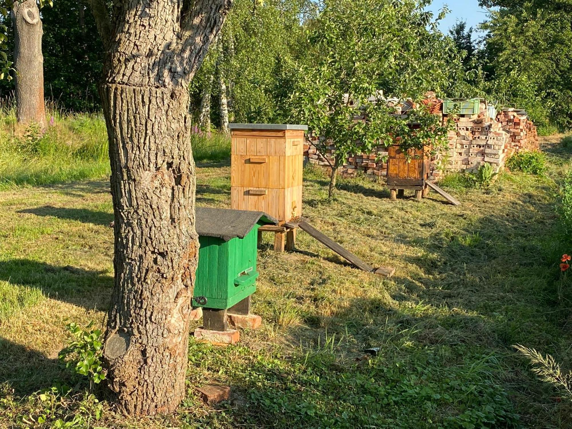 Agroturystyka Borow Prusice エクステリア 写真